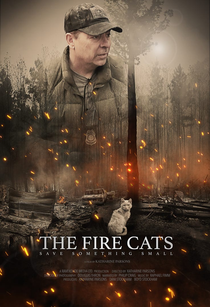 The FIre Cats poster
